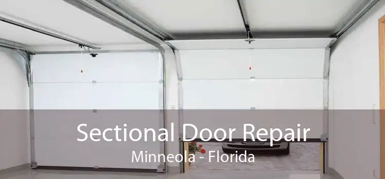 Sectional Door Repair Minneola - Florida