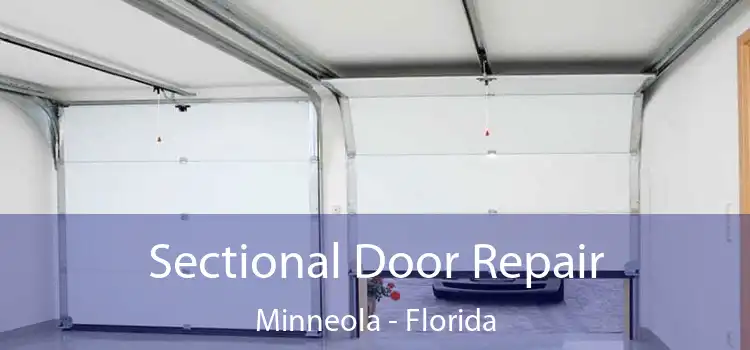 Sectional Door Repair Minneola - Florida