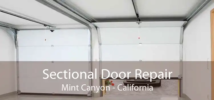 Sectional Door Repair Mint Canyon - California
