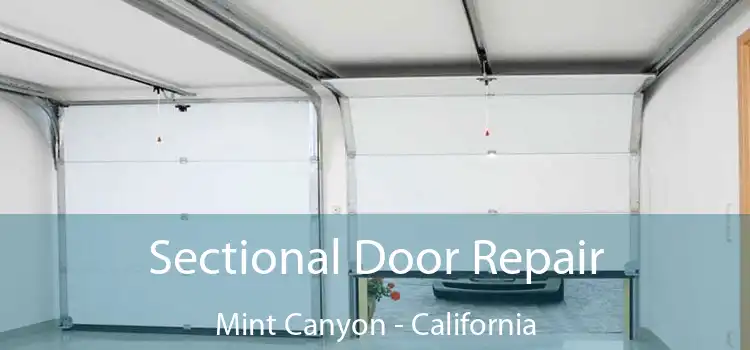 Sectional Door Repair Mint Canyon - California