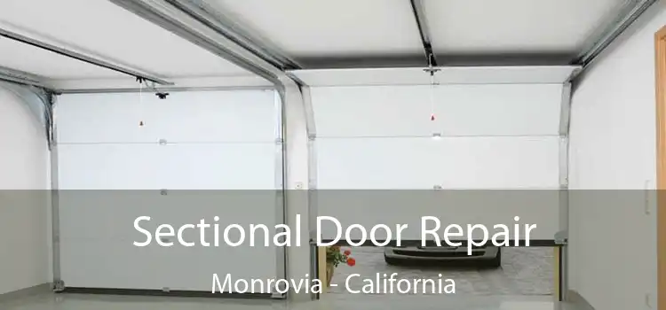 Sectional Door Repair Monrovia - California