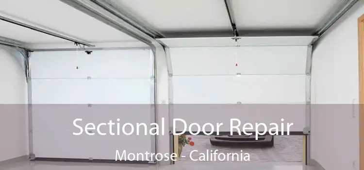 Sectional Door Repair Montrose - California