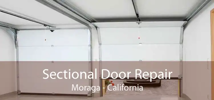 Sectional Door Repair Moraga - California