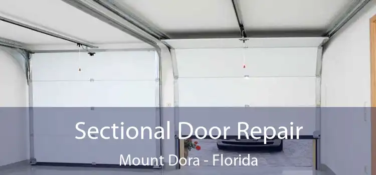 Sectional Door Repair Mount Dora - Florida