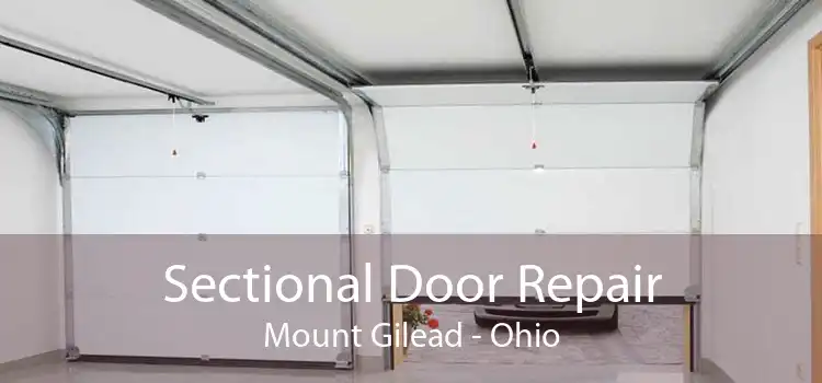 Sectional Door Repair Mount Gilead - Ohio
