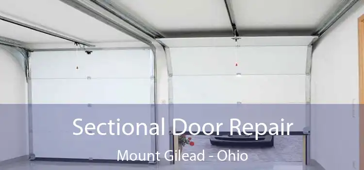 Sectional Door Repair Mount Gilead - Ohio