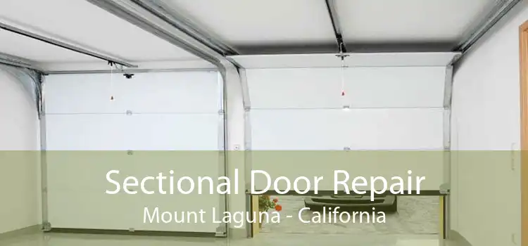 Sectional Door Repair Mount Laguna - California