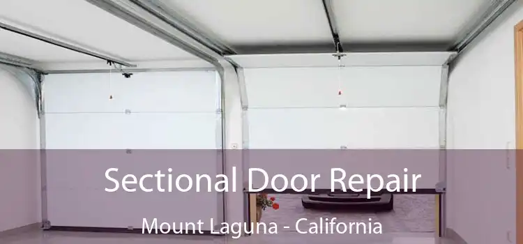 Sectional Door Repair Mount Laguna - California