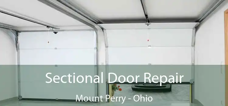 Sectional Door Repair Mount Perry - Ohio