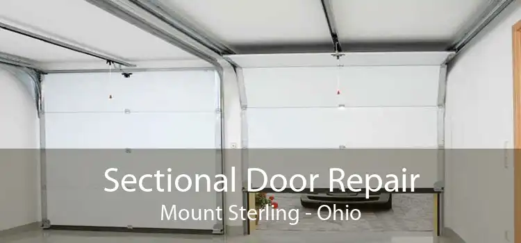 Sectional Door Repair Mount Sterling - Ohio