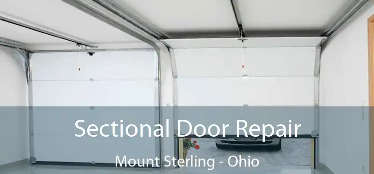 Sectional Door Repair Mount Sterling - Ohio