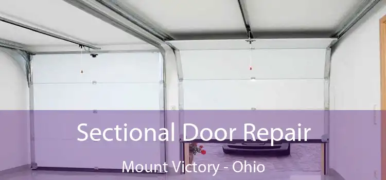 Sectional Door Repair Mount Victory - Ohio