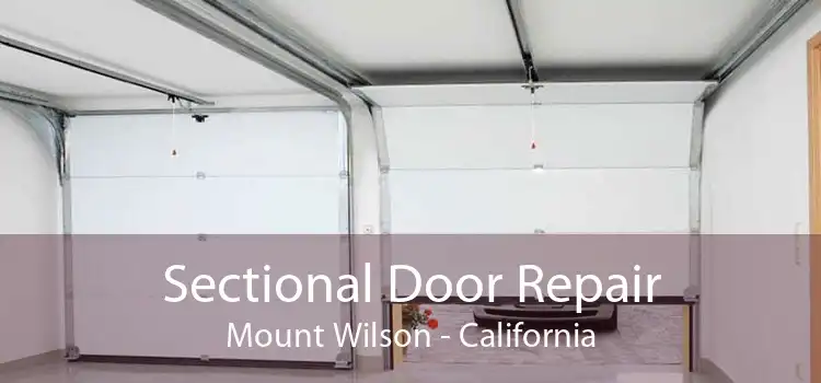 Sectional Door Repair Mount Wilson - California