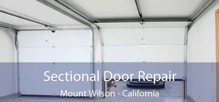 Sectional Door Repair Mount Wilson - California