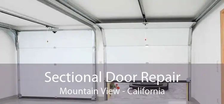Sectional Door Repair Mountain View - California