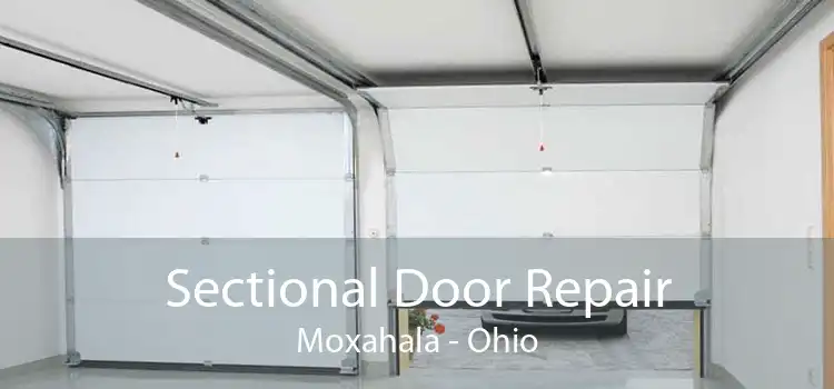 Sectional Door Repair Moxahala - Ohio