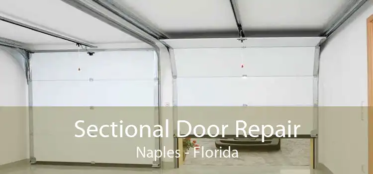 Sectional Door Repair Naples - Florida