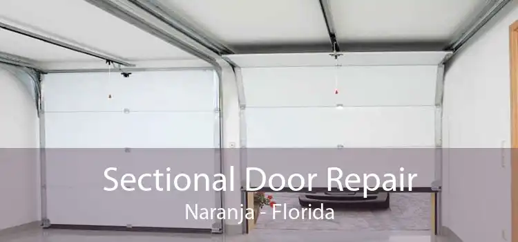Sectional Door Repair Naranja - Florida