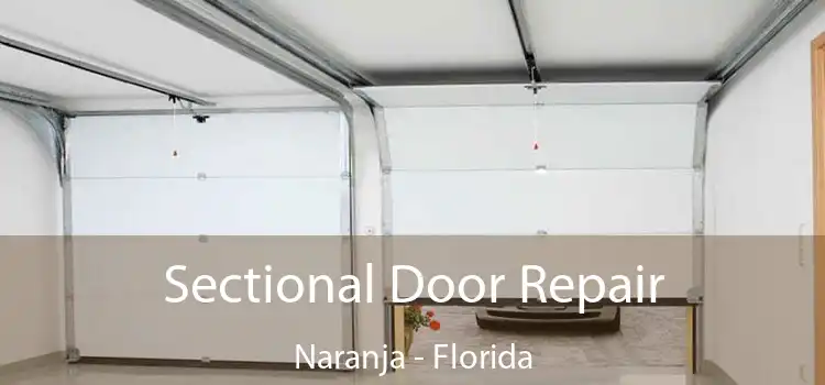 Sectional Door Repair Naranja - Florida