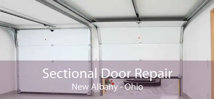 Sectional Door Repair New Albany - Ohio