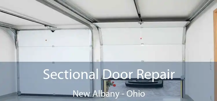 Sectional Door Repair New Albany - Ohio