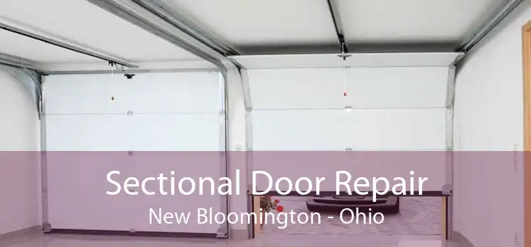 Sectional Door Repair New Bloomington - Ohio