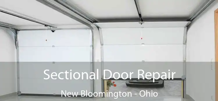 Sectional Door Repair New Bloomington - Ohio