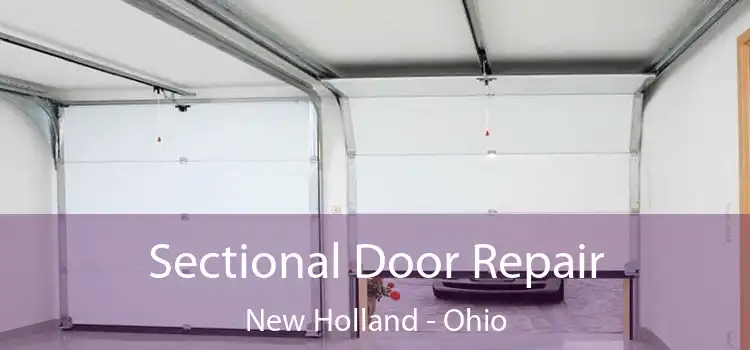 Sectional Door Repair New Holland - Ohio