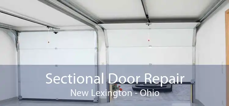 Sectional Door Repair New Lexington - Ohio