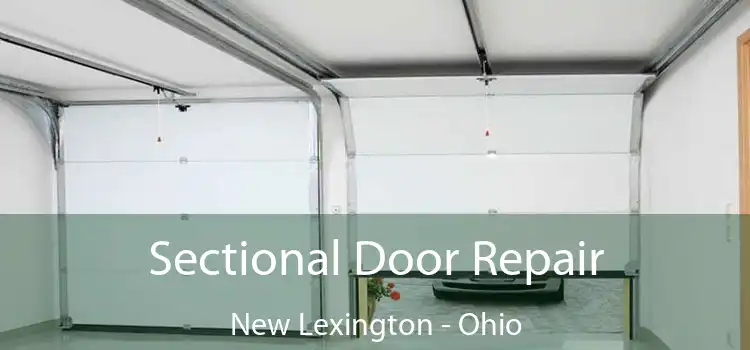 Sectional Door Repair New Lexington - Ohio