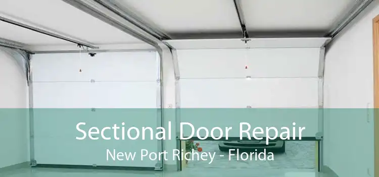 Sectional Door Repair New Port Richey - Florida
