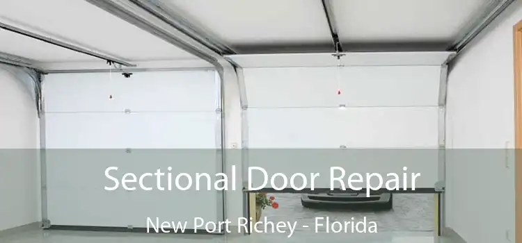 Sectional Door Repair New Port Richey - Florida