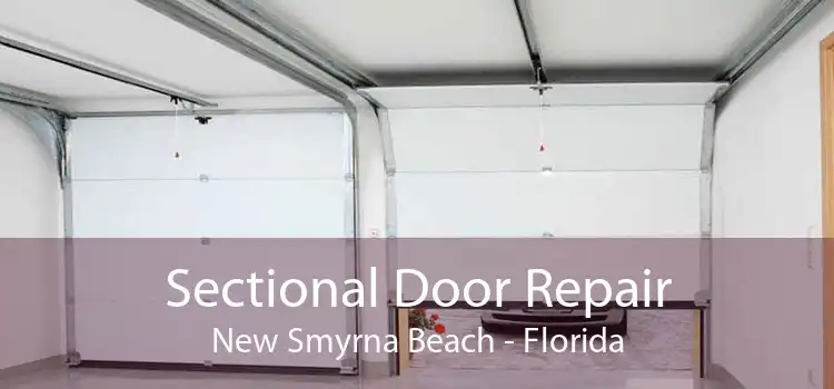 Sectional Door Repair New Smyrna Beach - Florida