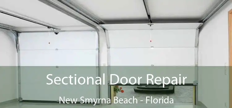 Sectional Door Repair New Smyrna Beach - Florida