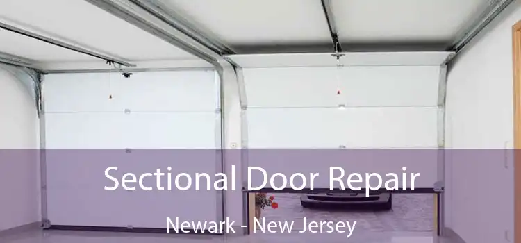 Sectional Door Repair Newark - New Jersey
