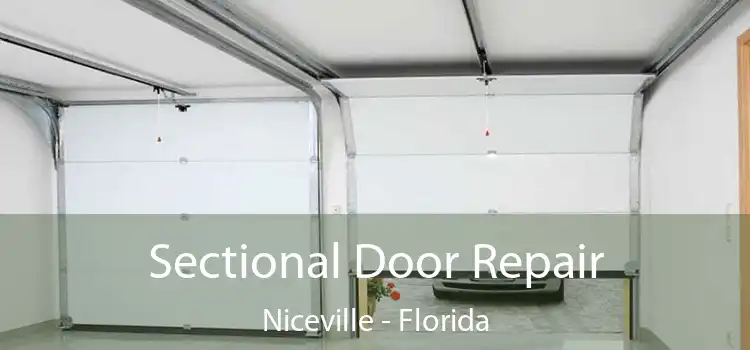 Sectional Door Repair Niceville - Florida