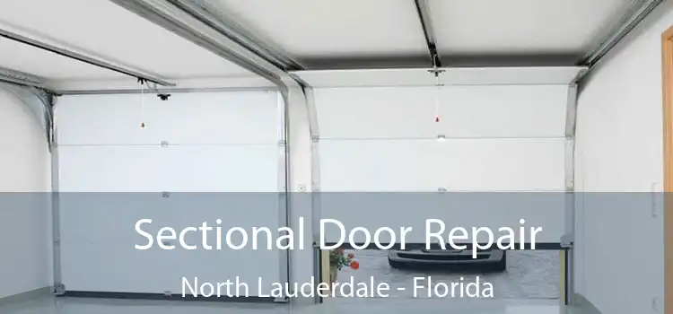 Sectional Door Repair North Lauderdale - Florida