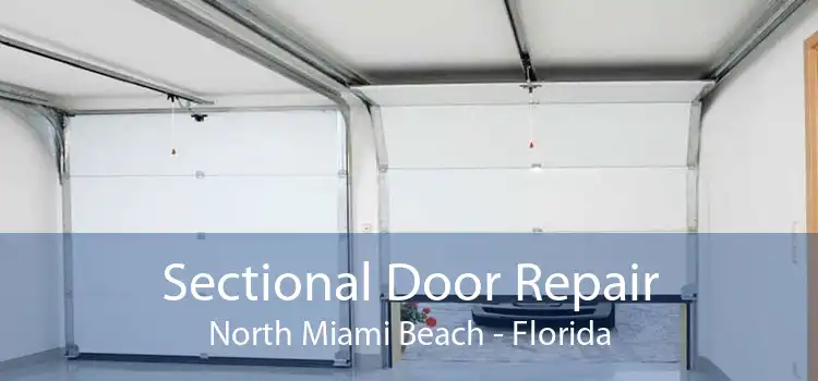 Sectional Door Repair North Miami Beach - Florida