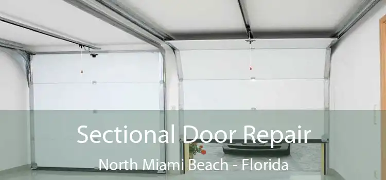 Sectional Door Repair North Miami Beach - Florida