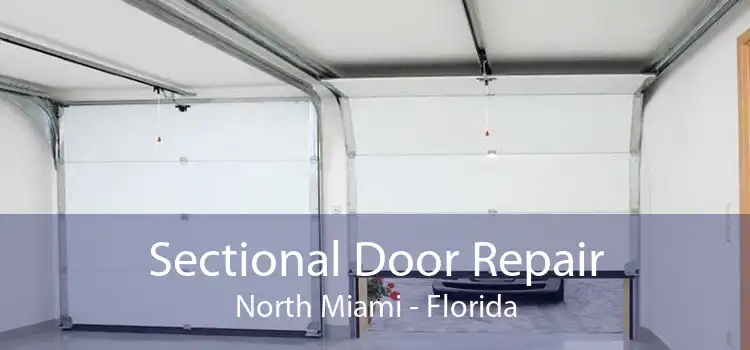 Sectional Door Repair North Miami - Florida