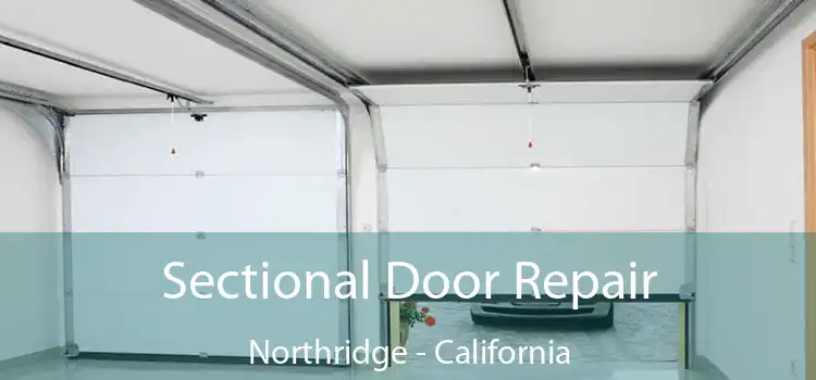 Sectional Door Repair Northridge - California