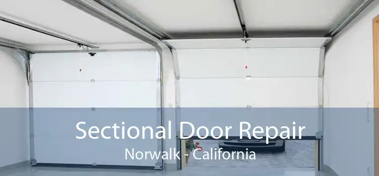 Sectional Door Repair Norwalk - California