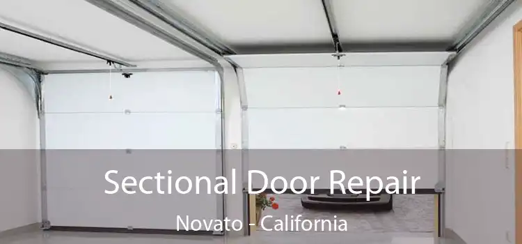 Sectional Door Repair Novato - California