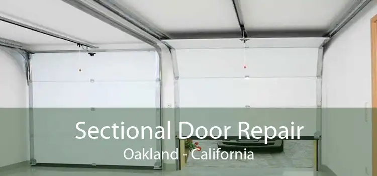 Sectional Door Repair Oakland - California