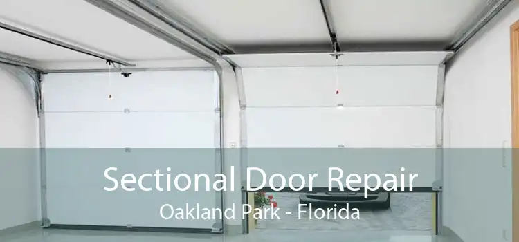 Sectional Door Repair Oakland Park - Florida