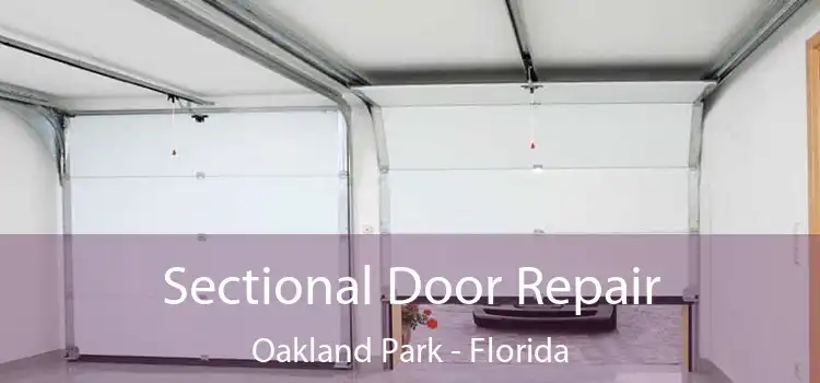 Sectional Door Repair Oakland Park - Florida