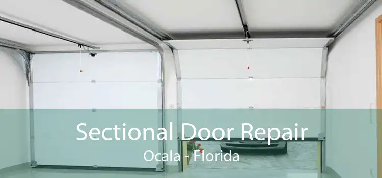 Sectional Door Repair Ocala - Florida