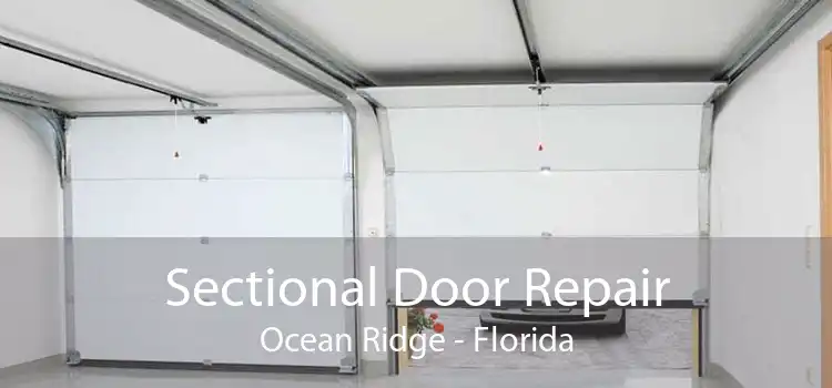 Sectional Door Repair Ocean Ridge - Florida