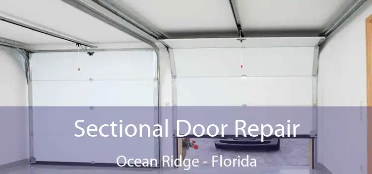 Sectional Door Repair Ocean Ridge - Florida