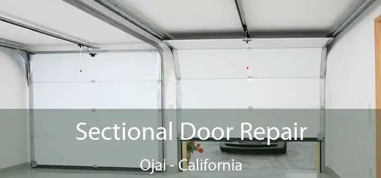 Sectional Door Repair Ojai - California